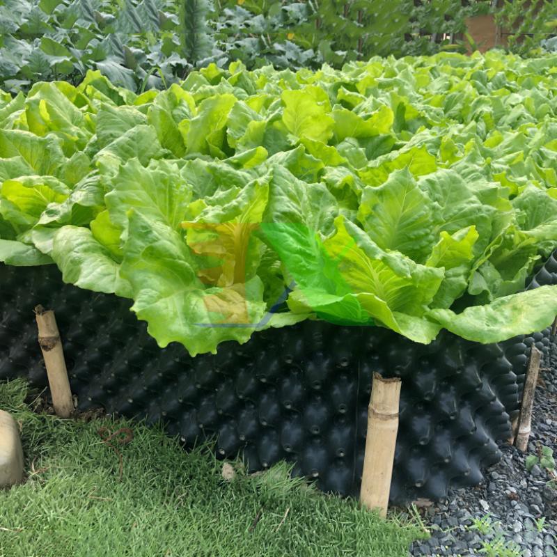 Bầu ươm cây công trình BLV-50, Chậu trồng cây có lỗ thoáng khí cao 50 cm dày 0.8 mm nhựa PVC (Cuộn 50m) Kèm 100 vít