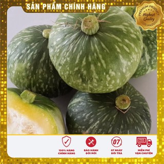 Bộ 02 gói hạt giống bí xanh nhật lai F1 TẶNG 1 phân bón