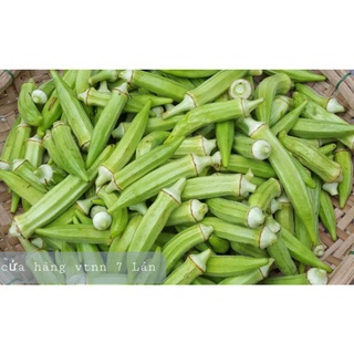 Hạt giống đậu bắp sn 50gr