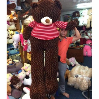 Gấu teddy nâu socola 2m1