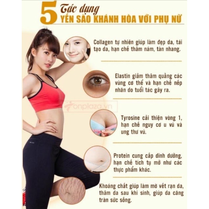 [ Hàng có sẵn ] Yếng đường phèn _ Yến sào hoàng việt (70ml) | BigBuy360 - bigbuy360.vn