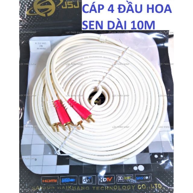 Dây AV 2 ra 2 dài 10m