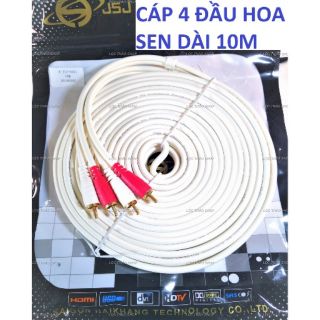 Dây av 2 ra 2 dài 10m