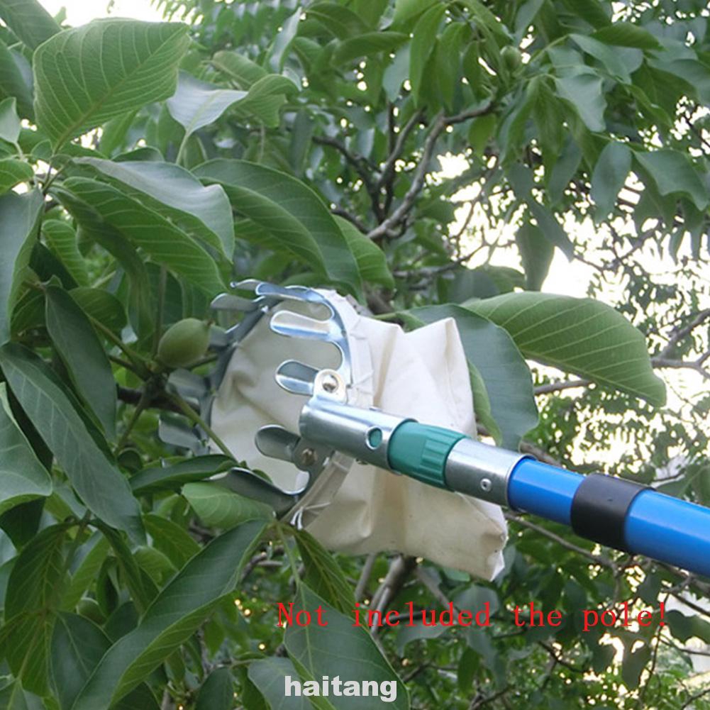 Dụng cụ hái trái cây tiện lợi
