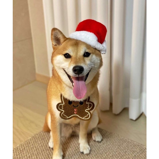 BST NOEL YẾM KIỂU GIÁNG SINH VUI VẺ DÀNH CHO THÚ CƯNG