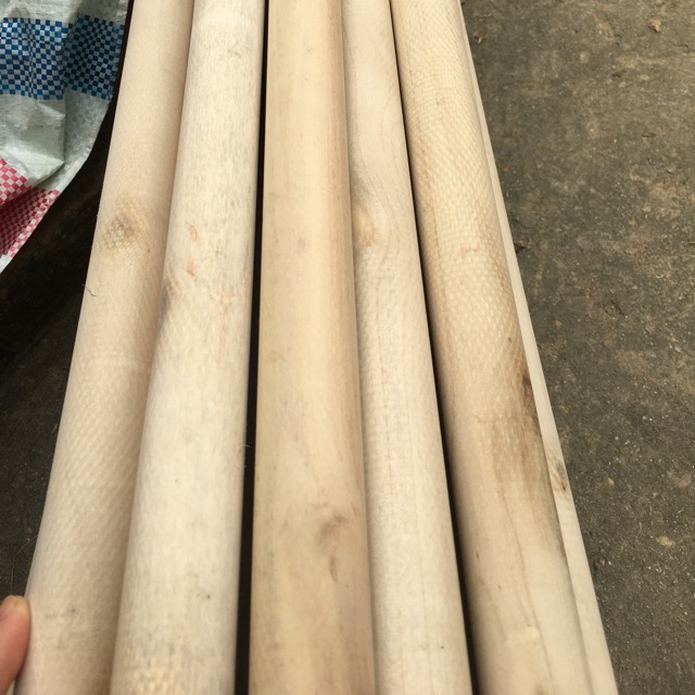 Combo 10 thanh phi 3 dài 1m5