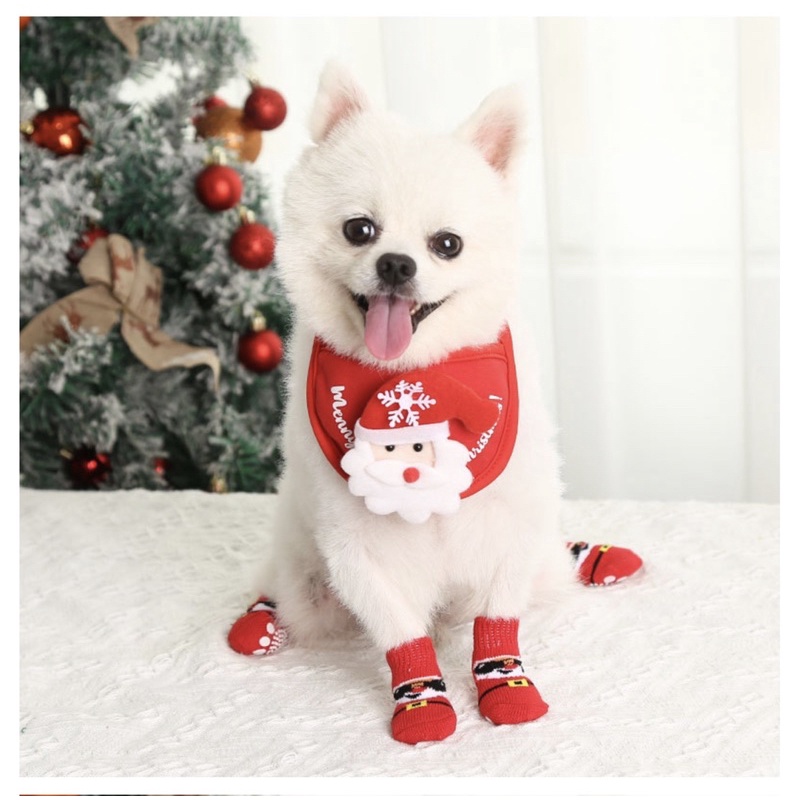 Vớ / tất Giáng sinh, Noel cho chó mèo