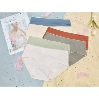 Set 10 Quần Lót Nữ Đúc Su Cotton