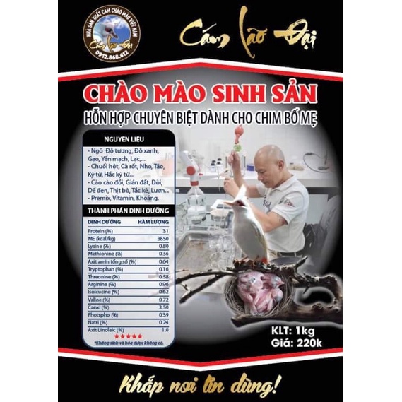 CÁM CHÀO MÀO SINH SẢN - LÃO ĐẠI