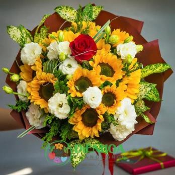 Hạt Giống Hoa Hướng Dương Vàng Lùn