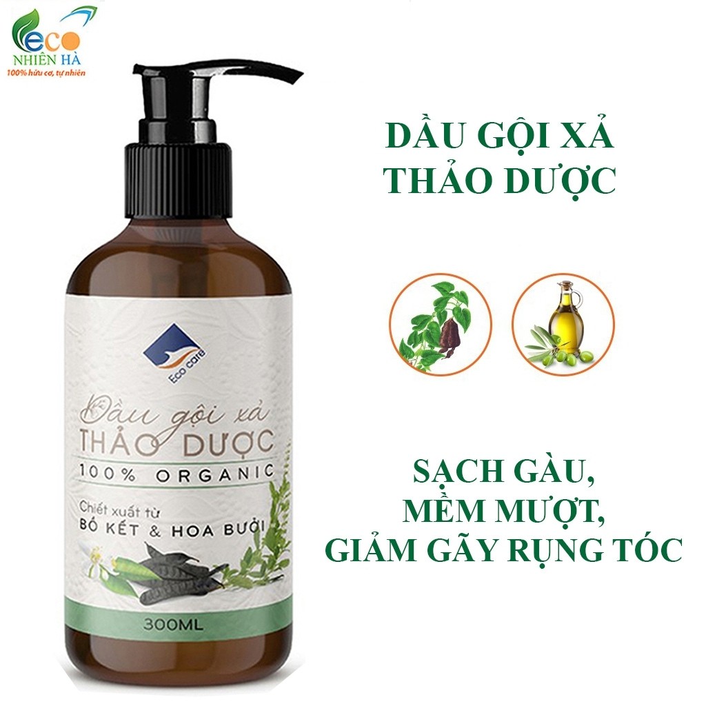 Dầu gội ECOCARE 300ml, dầu gội bưởi hữu cơ, dầu xả sạch gầu, giảm nấm ngứa, gãy rụng tóc