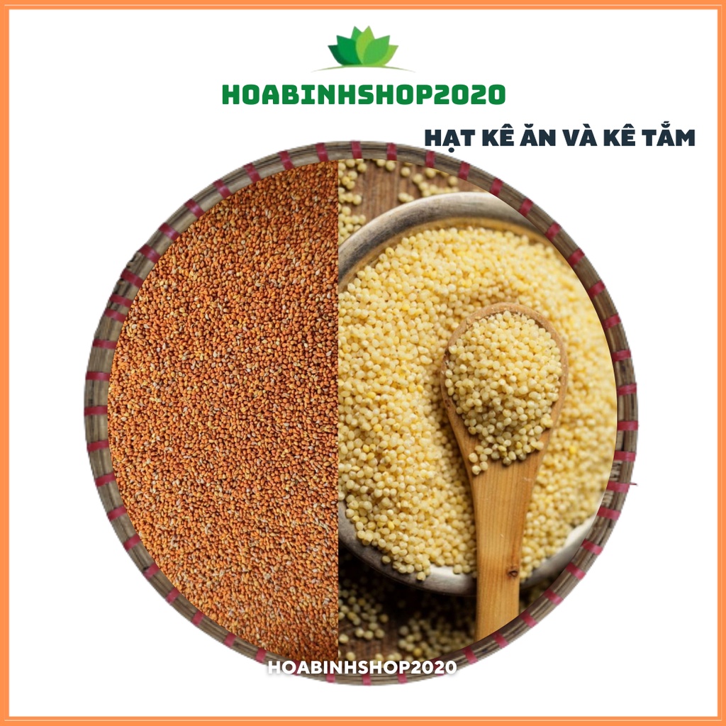 Hạt Kê Tách Vỏ Hữu cơ cho bé ăn dặm, nấu cháo thơm ngon bổ dưỡng