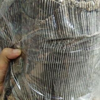 Đỗ trọng 1kg