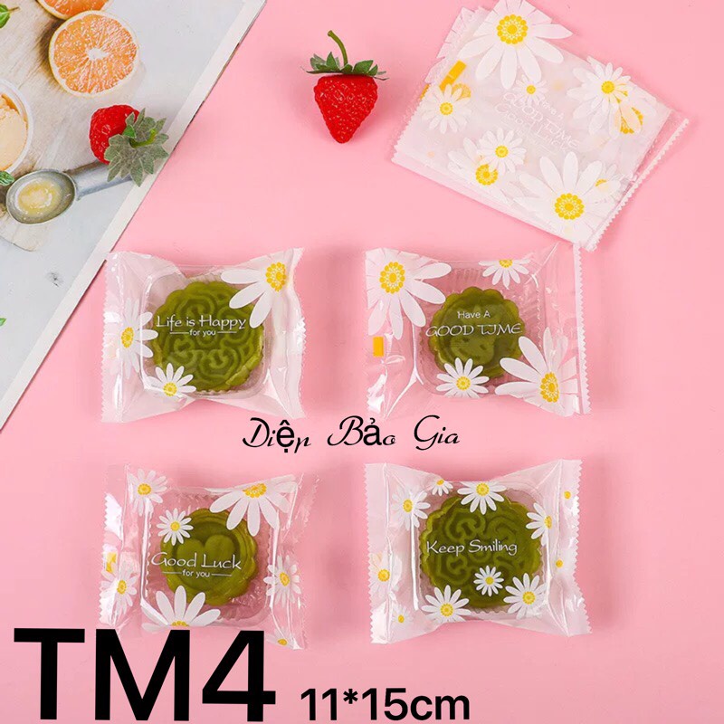 Túi đựng bánh trung thu 100g