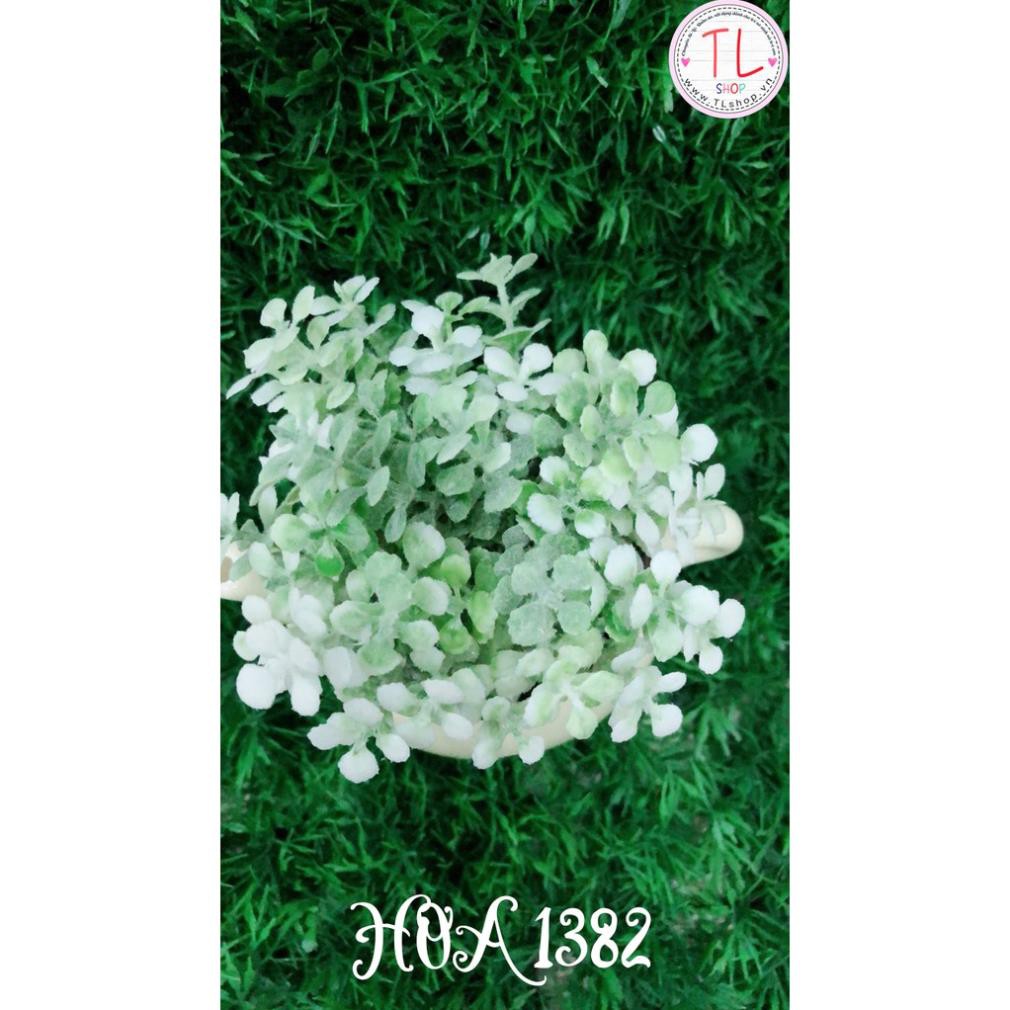 Bình hoa trà nhỏ xinh xắn