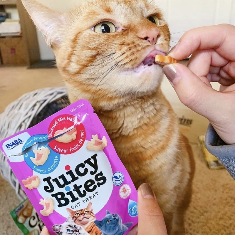 Bánh thưởng Inaba Juicy Bites cho mèo nhiều vị - Bánh thưởng Juicy Bites gói cho mèo