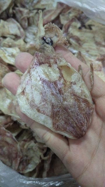 [Hình thật] 500g Khô mực đồng tiền Cà Mau, nướng-rim-nấu mì nấu súp ngọt ngon (hình thật) | BigBuy360 - bigbuy360.vn