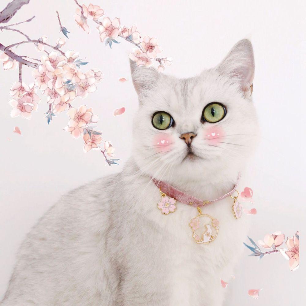 Vòng Cổ Hình Trăng Sao Nhiều Màu / Bông Tuyết / Sao Cho Thú Cưng