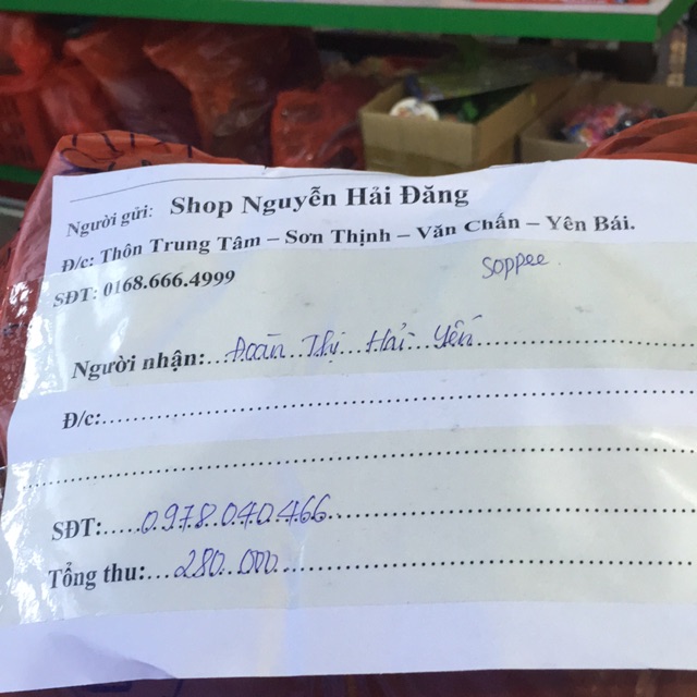 Đoàn thị hải yến