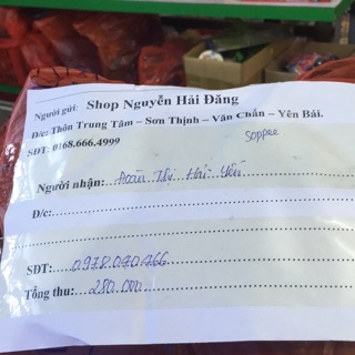 Đoàn thị hải yến