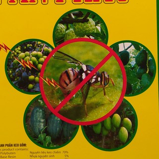 Keo dính bẫy ruồi vàng, miếng dán ruồi dục trái - bẫy ruồi bảo vệ cây trồng
