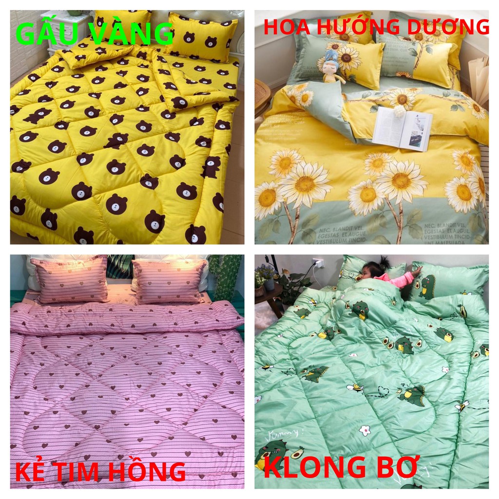 Chăn bông siêu nhẹ poly có họa tiết nhiều mẫu lựa chọn