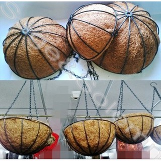 Bán Chậu treo xơ dừa khung sắt đen chất lượng.