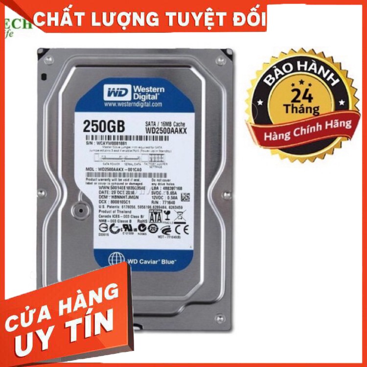 Ổ cứng Hdd Pc 250gb + dây sata3