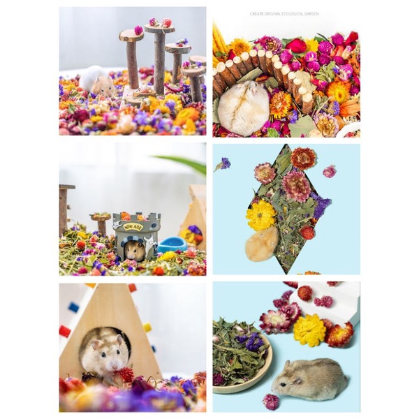 Tổng hợp hoa khô nhiều hãng cho hamster
