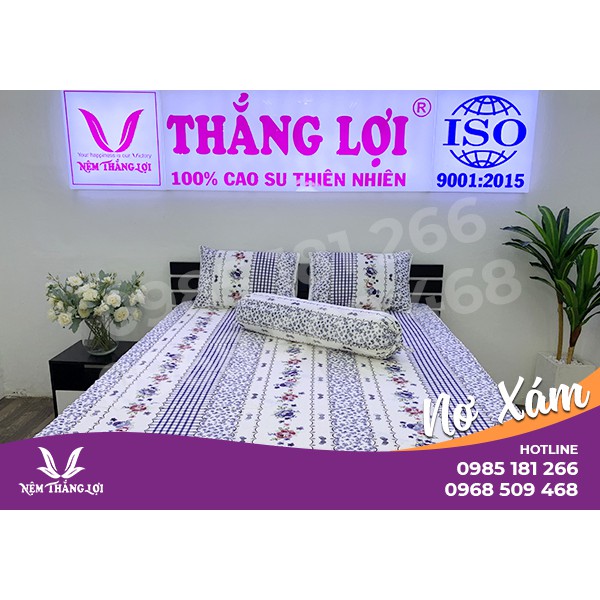 [Ảnh Thật] Nơ Xám - Bộ Drap Cotton 4 món Thắng Lợi Chính Hãng