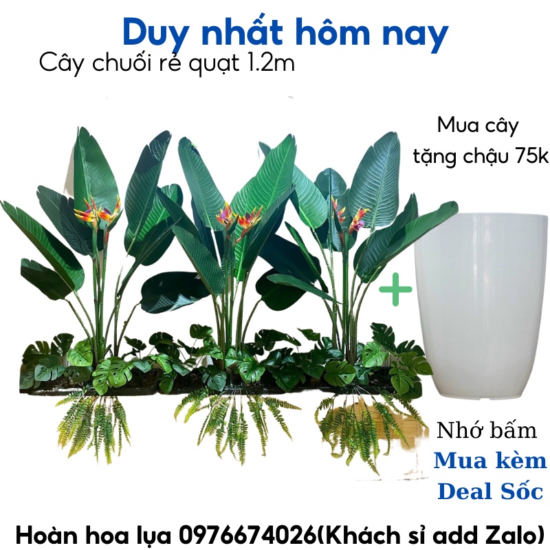 Cây chuối rẻ quạt 1,2m 8 lá hàng LOẠI 1 lá dập nổi vân sóng, phù hợp trang trí mọi không gian nhà cửa(Không gồm chậu)