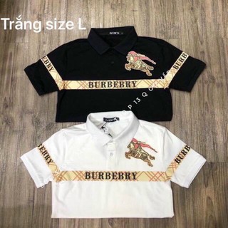 Áo Phông Polo Nam, Áo Thun Nam Cổ Bẻ Tay Ngắn In Hình Ngựa Chất Thun Cá Sấu Siêu Bền - AC31 - Shopmens