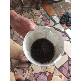 Máy bắt muỗi MOSCLEAN NHẬP KHẨU HÀN QUỐC
