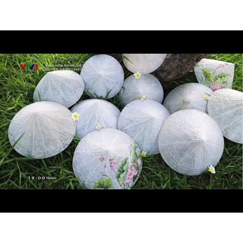Nón lá bàng trong suốt siêu độc đáo