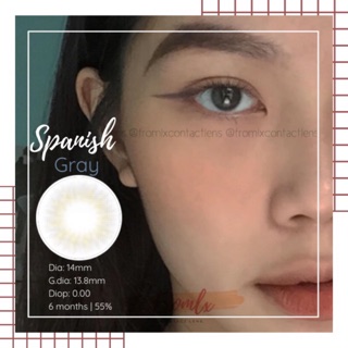 Kính áp tròng Spanish Gray (6 tháng)