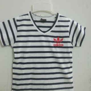 Combo 4 áo cotton 4c