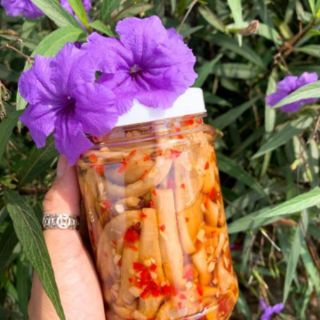 CỦ CẢI NGÂM NƯỚC TƯƠNG