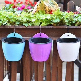 Combo 10 chậu cây treo tường tự động tưới nước 18cm
