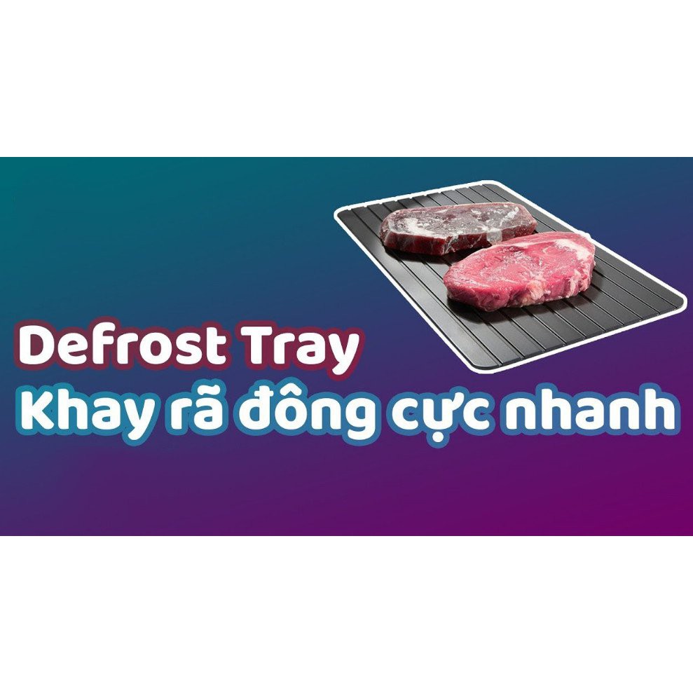 Khay rã đông thực phẩm nhanh Defrost Tray cao cấp (23x16.5)cm |Skylife