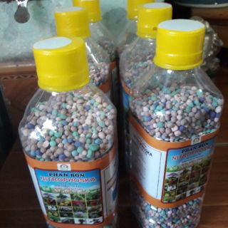 Phân bón tan chậm cho hoa cây cảnh