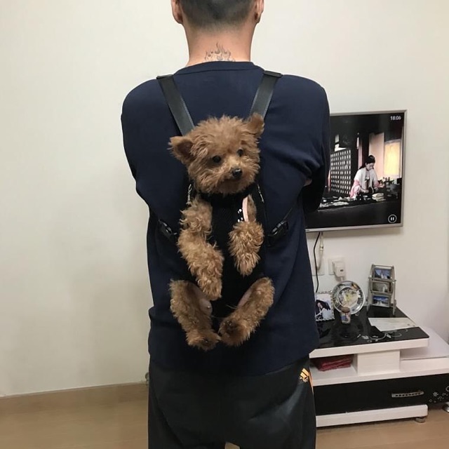 🐶☺️ ĐỊU THÚ CƯNG 7 size (dây thường) - ĐỊU VẬN CHUYỂN CHÓ MÈO 🐶🐱