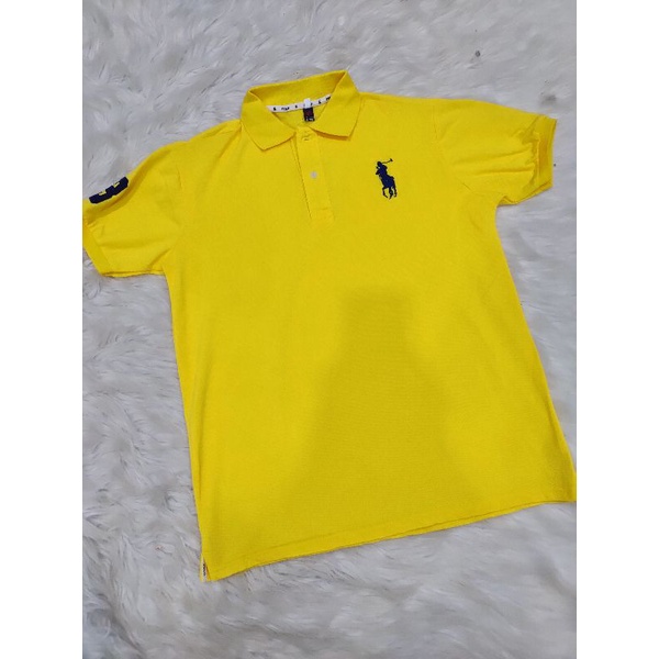 Áo tay ngắn có cổ thun cá sấu dành cho nam sale