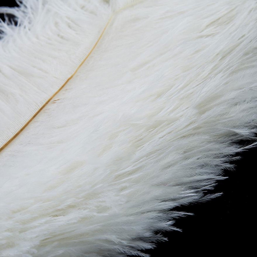 Bộ 10 Lông Đà Điểu 30-35cm Trang Trí Bàn Tiệc