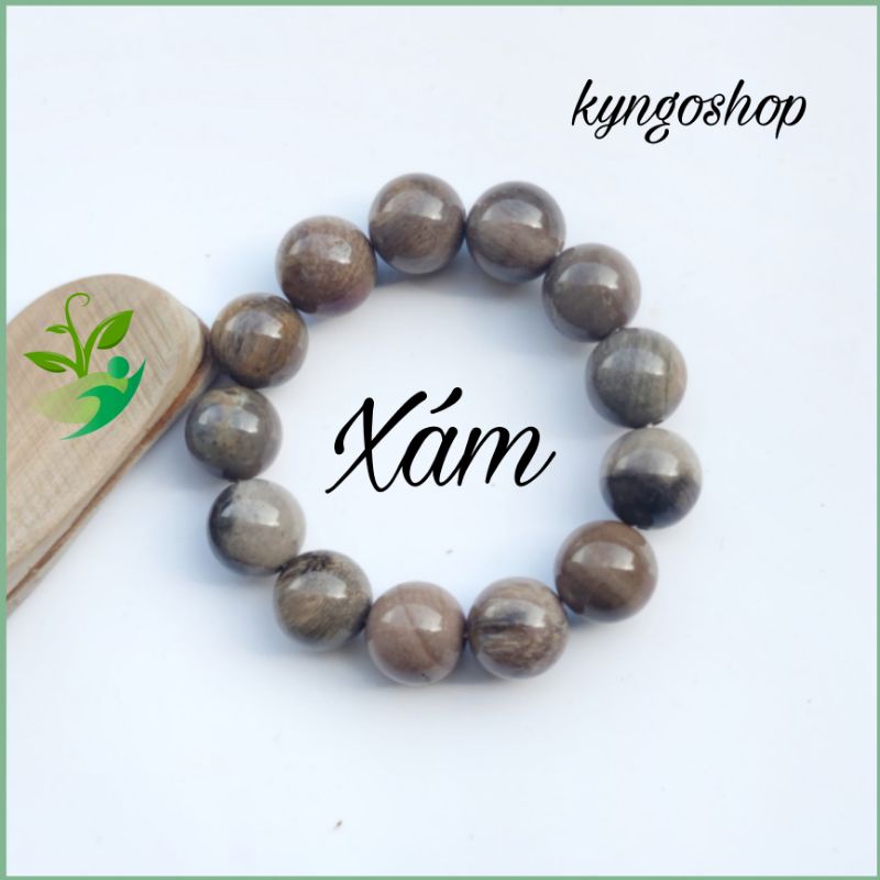 Vòng gỗ hoá đá, vòng gỗ hoá thạch núi lửa 6 triệu năm
