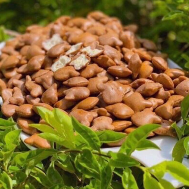 [Mã 156FMCGSALE hoàn 8% đơn 500K] 500g HŨ BÁNH GẤU CÀ PHÊ SỮA