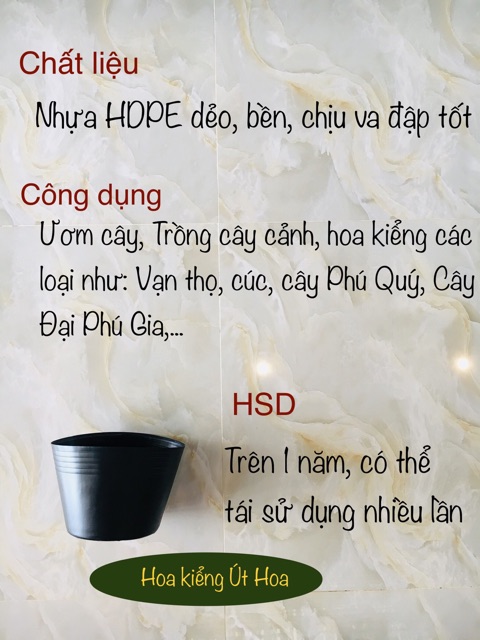 Chậu nhựa útHoa