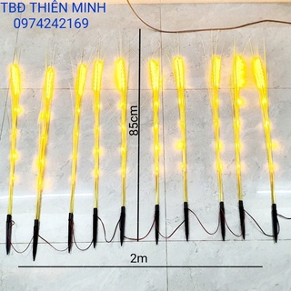 BỘ ĐÈN LED BÔNG LÚA  THẦN TÀI 10 CÂY