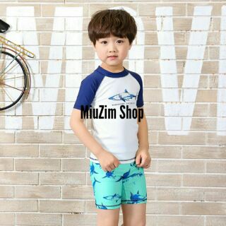 Set Áo bơi cá mập trắng