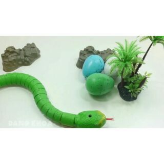 Con rắn điều khiển từ xa