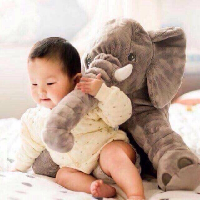 Gối Ôm Voi